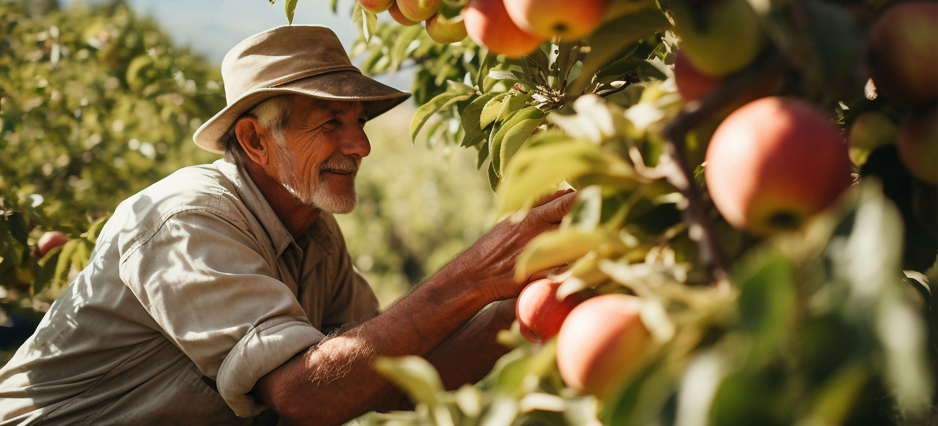 Empresas hortofrutícolas